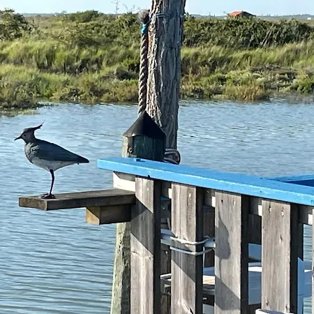 Charming With Heated Pool Year Round 4*