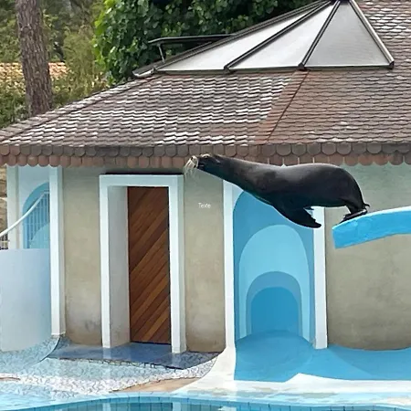 招待所 Charming With Heated Pool Year Round