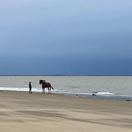 Charming With Heated Pool Year Round 招待所 莱马特