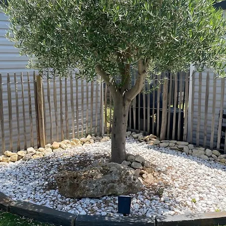 Charming With Heated Pool Year Round *